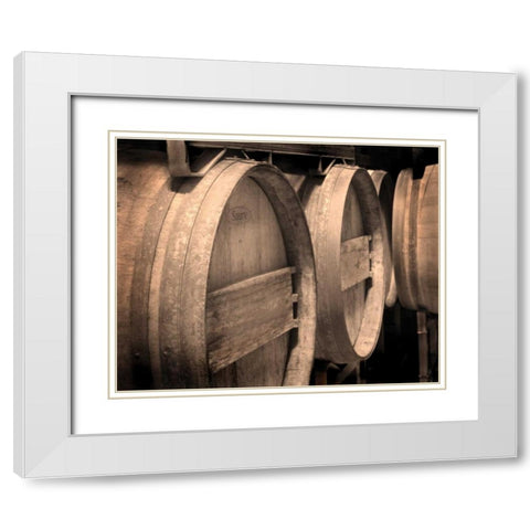 Winery V White Modern Wood Framed Art Print with Double Matting by Larson, Scott