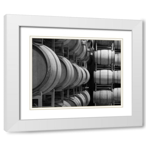 Winery VIII White Modern Wood Framed Art Print with Double Matting by Larson, Scott