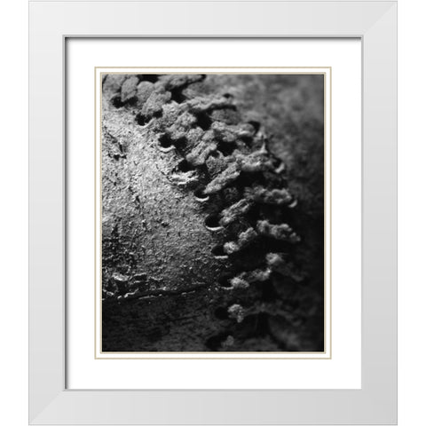 Summer Ball I White Modern Wood Framed Art Print with Double Matting by Larson, Scott