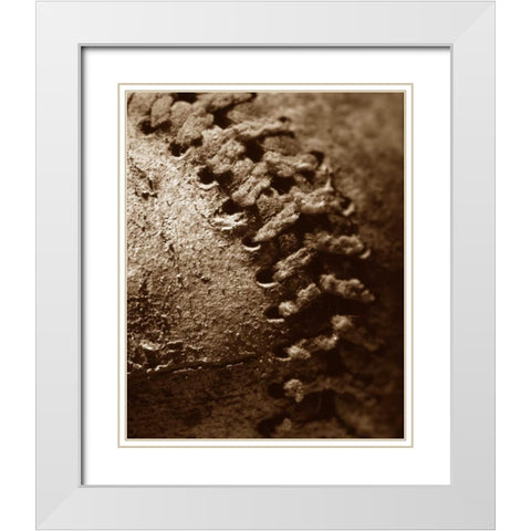 Summer Ball II White Modern Wood Framed Art Print with Double Matting by Larson, Scott