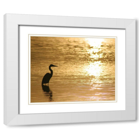 Estuary III White Modern Wood Framed Art Print with Double Matting by Larson, Scott