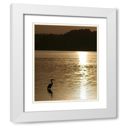Estuary IV White Modern Wood Framed Art Print with Double Matting by Larson, Scott
