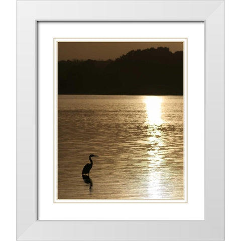 Estuary IV White Modern Wood Framed Art Print with Double Matting by Larson, Scott