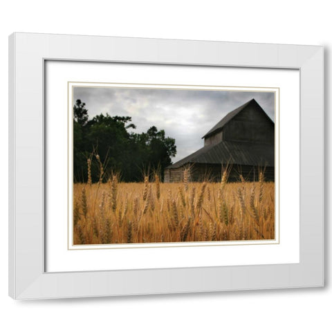 Harvest Time I White Modern Wood Framed Art Print with Double Matting by Larson, Scott