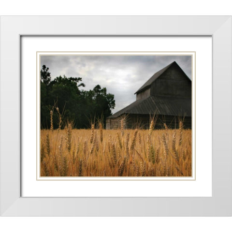 Harvest Time I White Modern Wood Framed Art Print with Double Matting by Larson, Scott