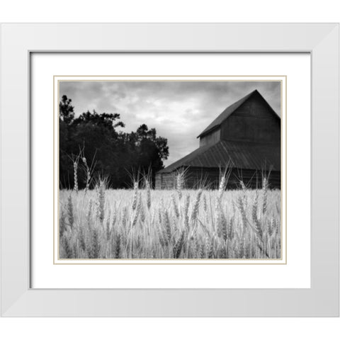 Harvest Time II White Modern Wood Framed Art Print with Double Matting by Larson, Scott
