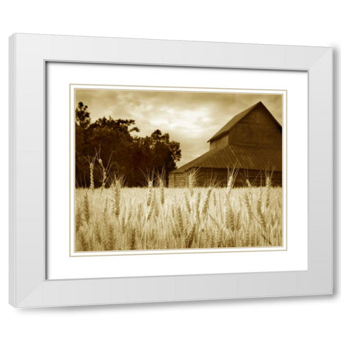 Harvest Time III White Modern Wood Framed Art Print with Double Matting by Larson, Scott