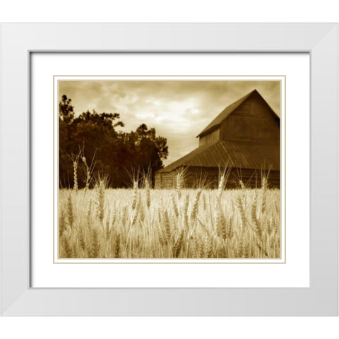 Harvest Time III White Modern Wood Framed Art Print with Double Matting by Larson, Scott