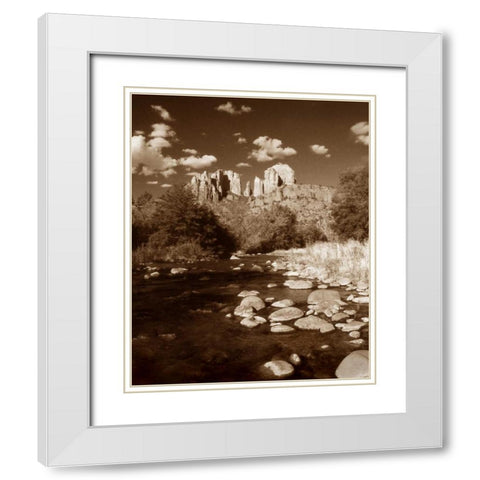 Desert Stream III White Modern Wood Framed Art Print with Double Matting by Larson, Scott