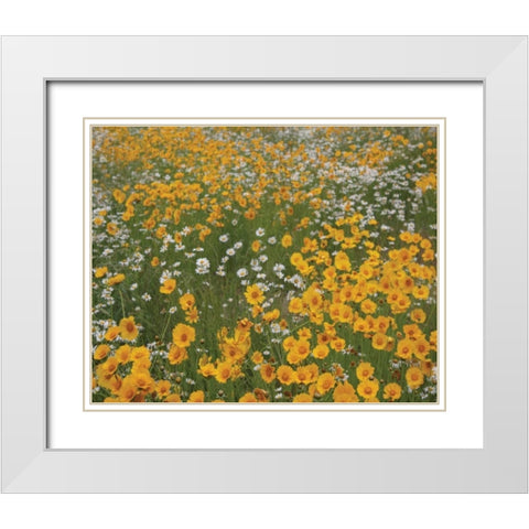 High Meadow I White Modern Wood Framed Art Print with Double Matting by Larson, Scott