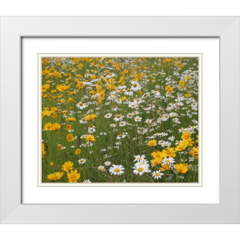 High Meadow II White Modern Wood Framed Art Print with Double Matting by Larson, Scott