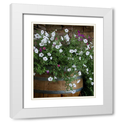 Petunia Barrel I White Modern Wood Framed Art Print with Double Matting by Larson, Scott