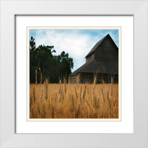 Harvest Time IV White Modern Wood Framed Art Print with Double Matting by Larson, Scott