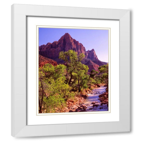 Zion National Park I White Modern Wood Framed Art Print with Double Matting by Leahy, Ike