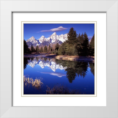 Grand Teton National Park VII White Modern Wood Framed Art Print with Double Matting by Leahy, Ike