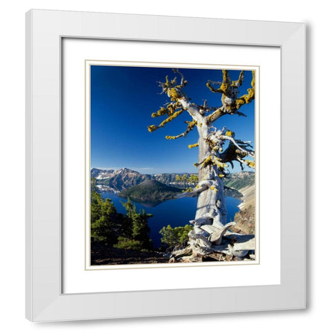 Crater Lake I White Modern Wood Framed Art Print with Double Matting by Leahy, Ike