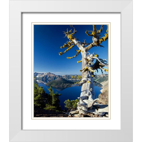 Crater Lake I White Modern Wood Framed Art Print with Double Matting by Leahy, Ike