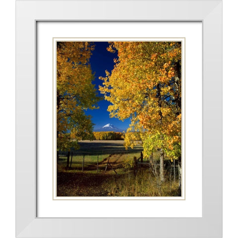 Mt. Adams VI White Modern Wood Framed Art Print with Double Matting by Leahy, Ike