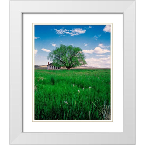 Pioneer School White Modern Wood Framed Art Print with Double Matting by Leahy, Ike