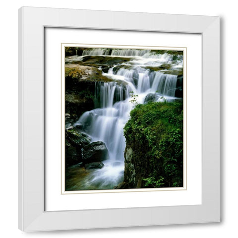Lost Creek Falls White Modern Wood Framed Art Print with Double Matting by Leahy, Ike