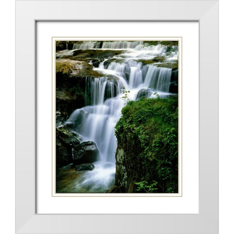 Lost Creek Falls White Modern Wood Framed Art Print with Double Matting by Leahy, Ike