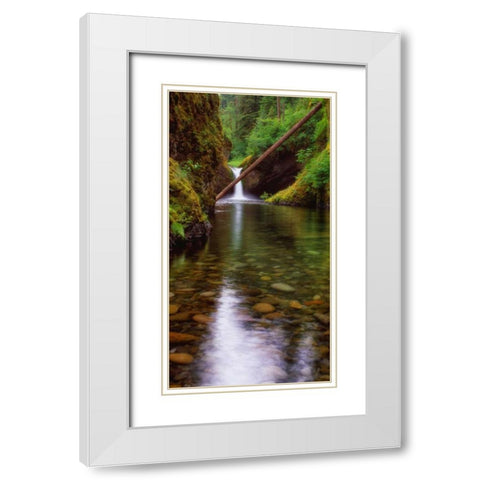 Punch Bowl Falls White Modern Wood Framed Art Print with Double Matting by Leahy, Ike