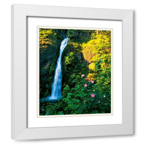 Horse Tail Falls White Modern Wood Framed Art Print with Double Matting by Leahy, Ike