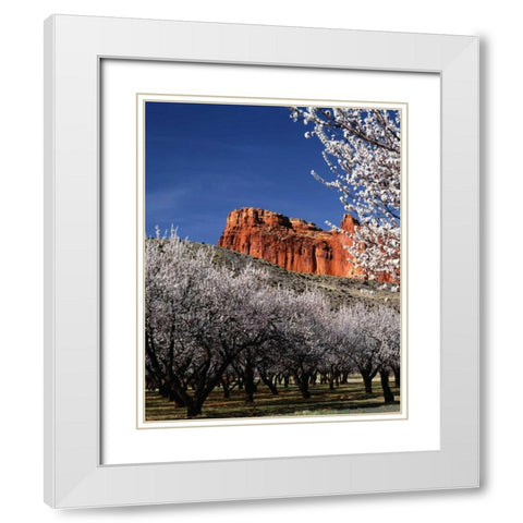 Capitol Reef White Modern Wood Framed Art Print with Double Matting by Leahy, Ike