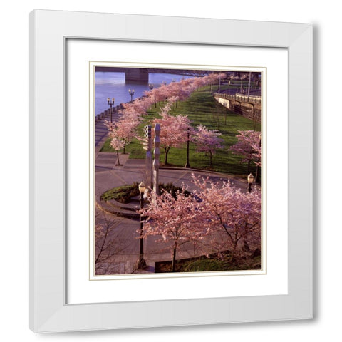 Spring in Portland White Modern Wood Framed Art Print with Double Matting by Leahy, Ike