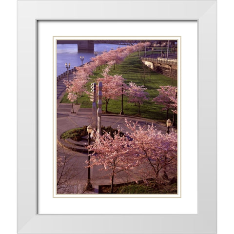 Spring in Portland White Modern Wood Framed Art Print with Double Matting by Leahy, Ike