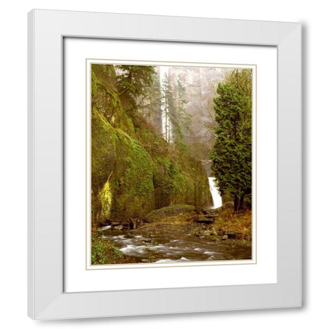 Multnomah Falls Creek Side White Modern Wood Framed Art Print with Double Matting by Leahy, Ike