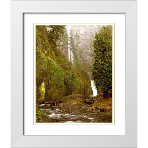 Multnomah Falls Creek Side White Modern Wood Framed Art Print with Double Matting by Leahy, Ike