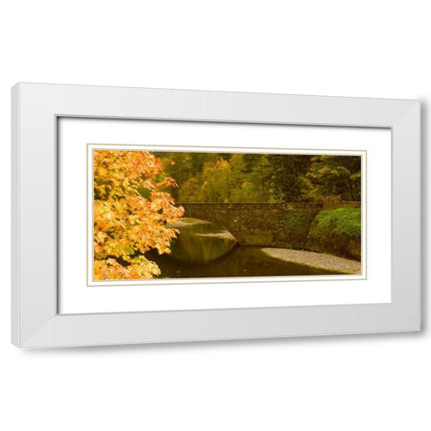 Stone Bridge White Modern Wood Framed Art Print with Double Matting by Leahy, Ike