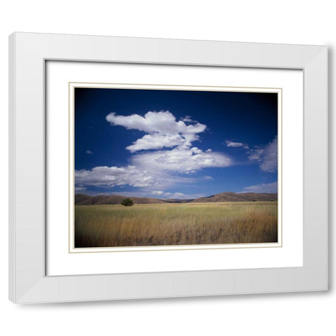 Lone Tree White Modern Wood Framed Art Print with Double Matting by Leahy, Ike