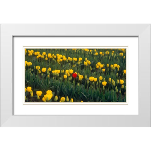Me White Modern Wood Framed Art Print with Double Matting by Leahy, Ike