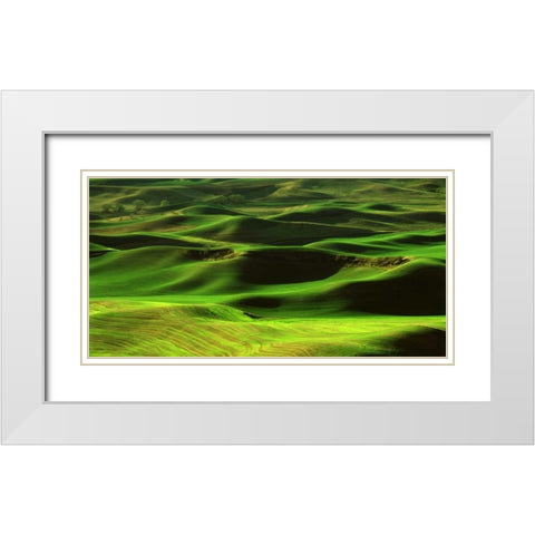 Palouse Green White Modern Wood Framed Art Print with Double Matting by Leahy, Ike