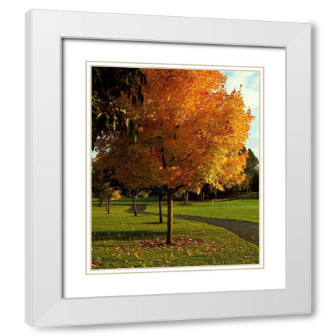 Fall Soccer White Modern Wood Framed Art Print with Double Matting by Leahy, Ike