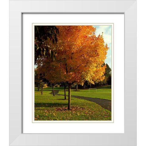 Fall Soccer White Modern Wood Framed Art Print with Double Matting by Leahy, Ike