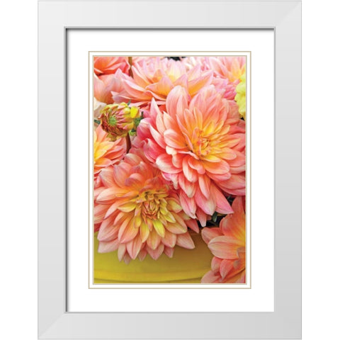 Spring Garden I White Modern Wood Framed Art Print with Double Matting by Love, Maureen