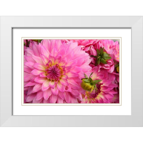 Spring Garden II White Modern Wood Framed Art Print with Double Matting by Love, Maureen