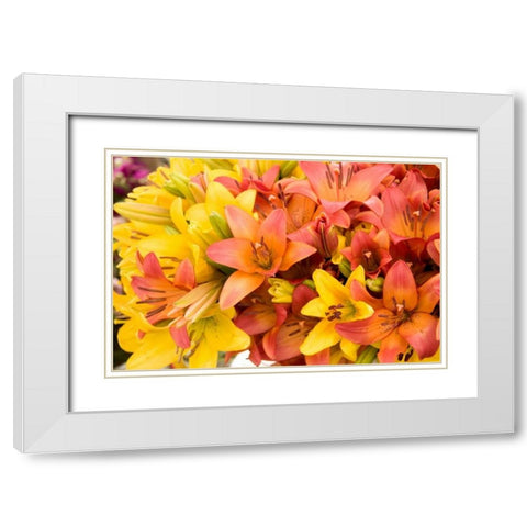 Sunny Lily I White Modern Wood Framed Art Print with Double Matting by Love, Maureen