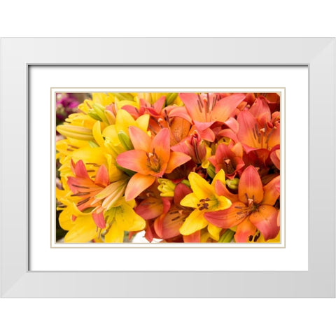 Sunny Lily I White Modern Wood Framed Art Print with Double Matting by Love, Maureen
