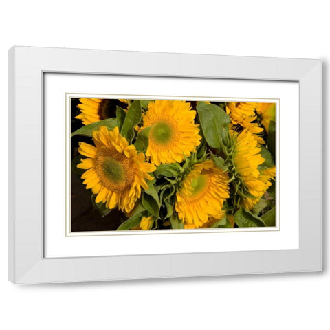 Sunflower I White Modern Wood Framed Art Print with Double Matting by Love, Maureen