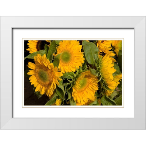 Sunflower I White Modern Wood Framed Art Print with Double Matting by Love, Maureen
