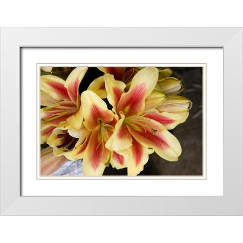 Vanilla Lily I White Modern Wood Framed Art Print with Double Matting by Love, Maureen