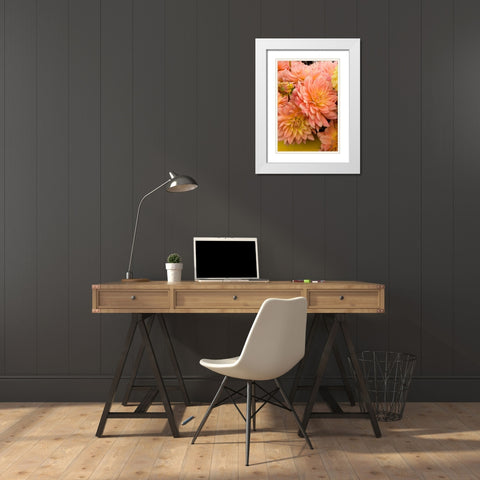 Peach Dalhia III White Modern Wood Framed Art Print with Double Matting by Love, Maureen
