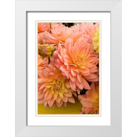 Peach Dalhia III White Modern Wood Framed Art Print with Double Matting by Love, Maureen