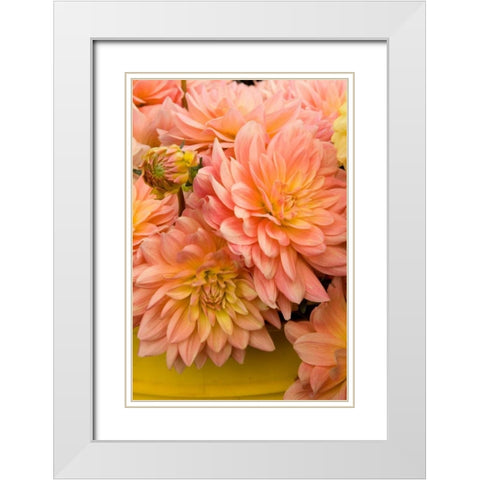 Peach Dalhia IV White Modern Wood Framed Art Print with Double Matting by Love, Maureen