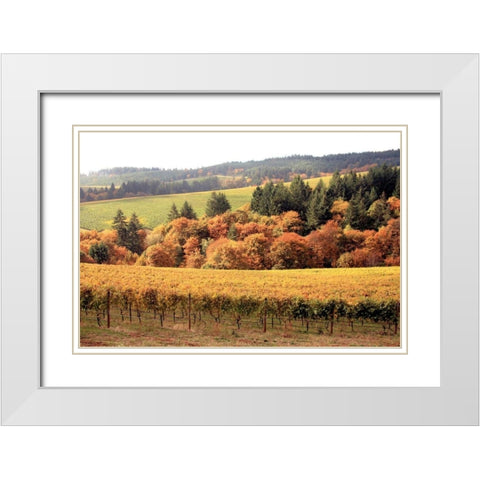 Fall in Wine Country I White Modern Wood Framed Art Print with Double Matting by Love, Maureen