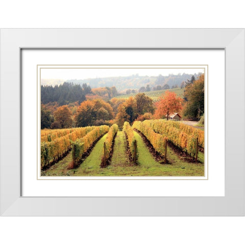 Bella Vida I White Modern Wood Framed Art Print with Double Matting by Love, Maureen